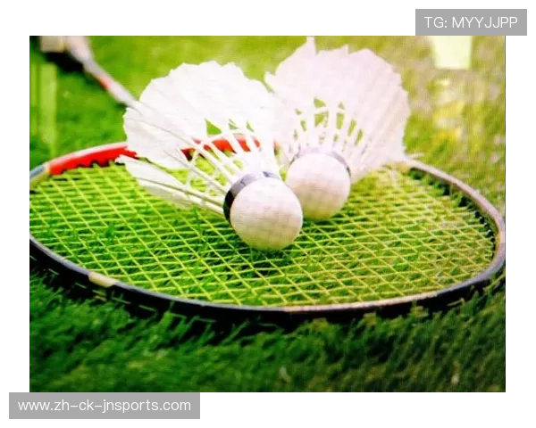 羽毛球教材分析 羽毛球教材分析