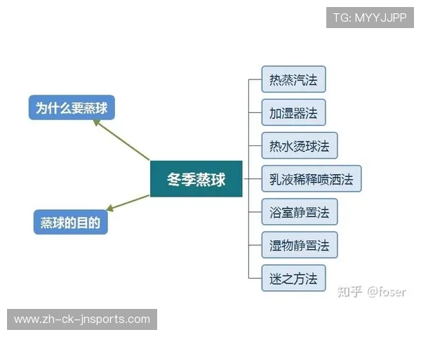 羽毛球蒸球后 羽毛球蒸球后