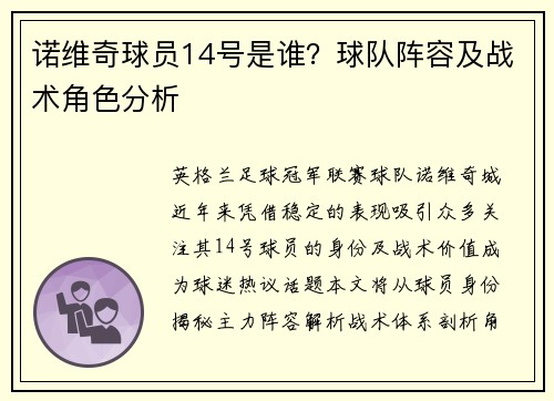 诺维奇球员14号是谁？球队阵容及战术角色分析